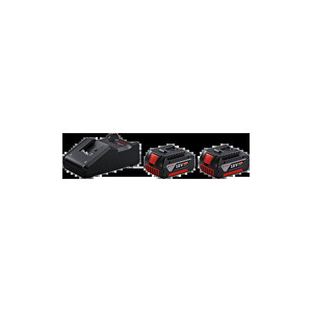 Bosch GAL 18V-40 + 2 x 4.0Ah Çift Akü ve Şarj Cihazı Seti