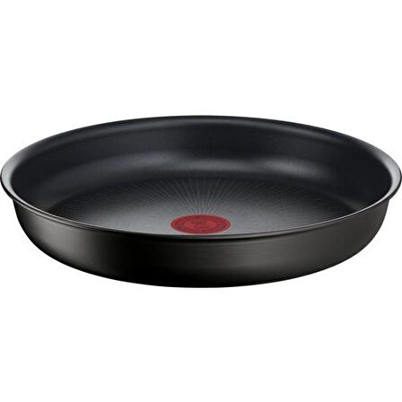 Tefal L76304 Ingenio Titanyum 6X Mix Tava 24 cm - 2100124949