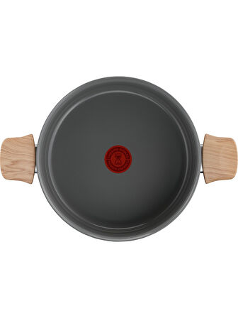 Tefal Ceramic Renew 24 Cm Tencere