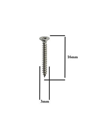 Sunta Vidası 3x16Mm Ahşap Vida Raf Vidası Ahşap Tahta Mobilya Vidası Kısa Vida 100 Adet