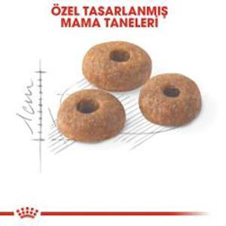 Royal Canin Fit 32  Kuru Kedi Maması 2 Kg + 2 Adet Yaş Mama Hediye
