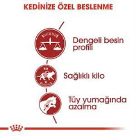 Royal Canin Fit 32  Kuru Kedi Maması 2 Kg + 2 Adet Yaş Mama Hediye