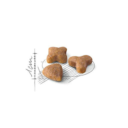 Royal Canin Sensible Kedi Maması 400 Gr x 5 Adet