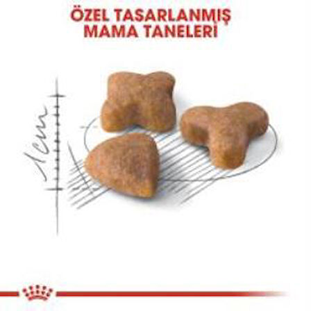 Royal Canin Sensible 33 Kuru Kedi Maması 4 kg + 2 Adet Yaş Mama Hediye