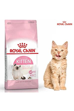 Kitten Tavuklu Yavru Kedi Maması 2 Kg