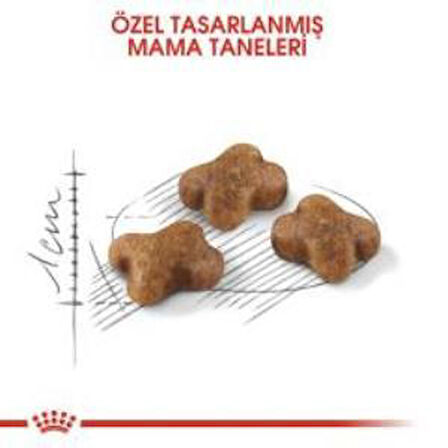 Royal Canin Kitten Yavru Kuru Kedi Maması 2 Kg + 2 Adet Yaş Mama Hediye