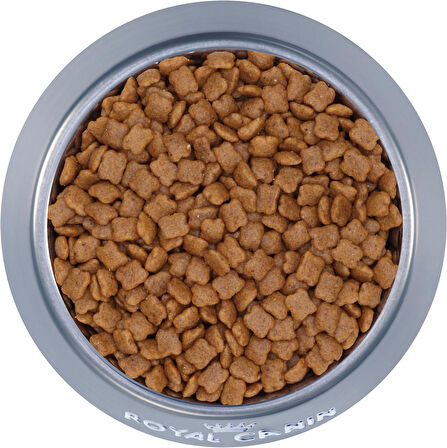 Royal Canin Kitten Kuru Yavru Kedi Maması 4 Kg