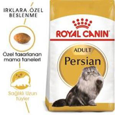 Royal Canin Persian Yetişkin Kedi Maması 4 kg + 2 Adet Yaş Mama Hediye