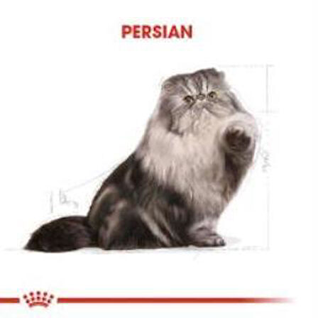 Royal Canin Persian Yetişkin Kedi Maması 4 kg + 2 Adet Yaş Mama Hediye