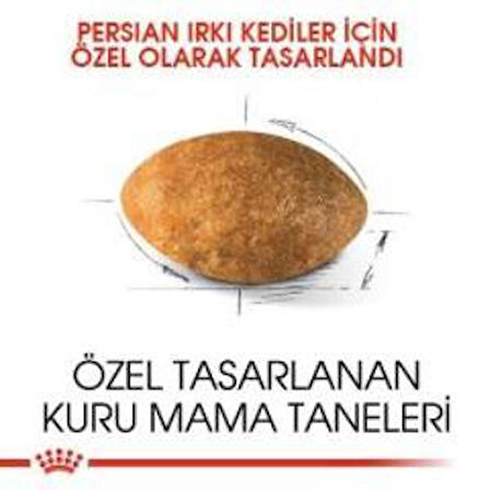 Royal Canin Persian Yetişkin Kedi Maması 4 kg + 2 Adet Yaş Mama Hediye
