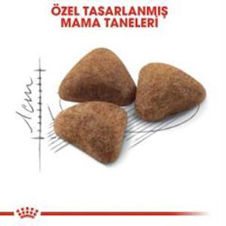 Royal Canin İndoor 27 Kuru Kedi Maması 2 Kg + 2 Adet Yaş Mama Hediye