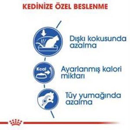 Royal Canin İndoor 27 Kuru Kedi Maması 2 Kg + 2 Adet Yaş Mama Hediye