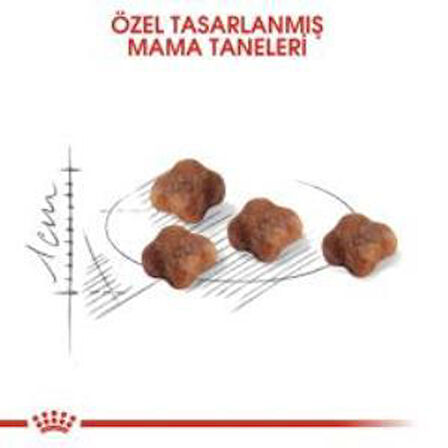 Royal Canin Mother BabyCat  Yavru Kuru Kedi Maması 4 Kg + 1 Adet Yaş Mama Hediye