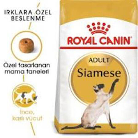 Royal Canin Siamese Yetişkin Kedi Maması 2 kg + 2 Adet Yaş Mama Hediye