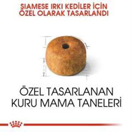 Royal Canin Siamese Yetişkin Kedi Maması 2 kg + 2 Adet Yaş Mama Hediye