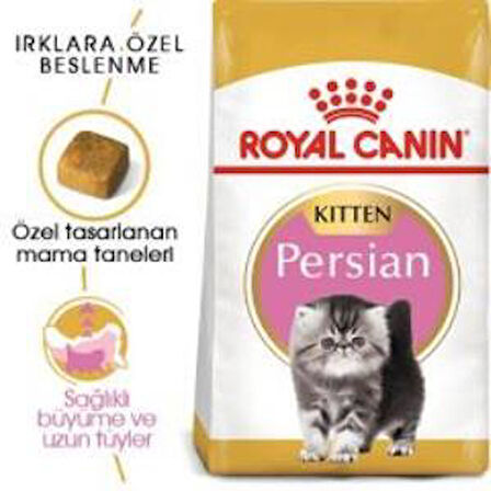 Royal Canin Kitten Persian Yavru Kedi Maması 2 kg + 2 Adet Yaş Mama Hediye