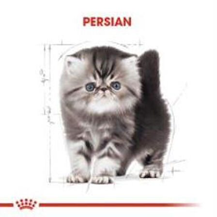 Royal Canin Kitten Persian Yavru Kedi Maması 2 kg + 2 Adet Yaş Mama Hediye