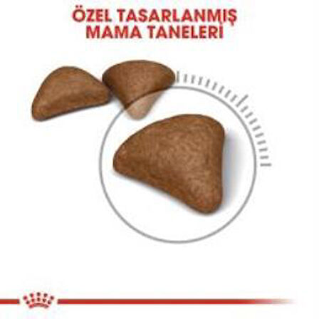 Royal Canin Hairball Care Kedi Maması 2 kg + 2 Adet Yaş Mama Hediye