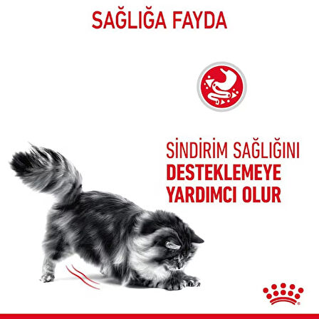 Royal Canin Fusyy Exigent Hassas Seçici Kediler için Kedi Maması 10 kg