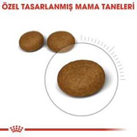 Royal Canin Hair Skin  Kedi  Maması 2 Kg + 2 Adet Yaş Mama Hediye