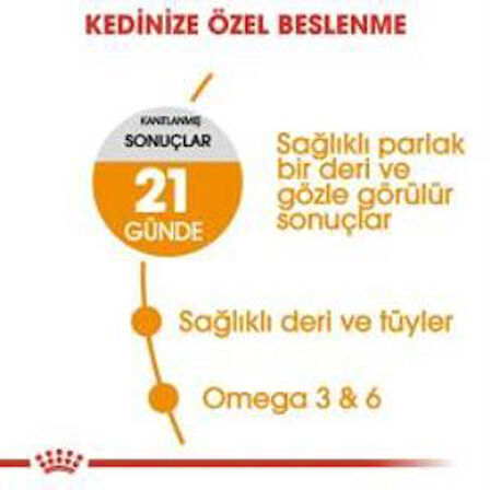 Royal Canin Hair Skin  Kedi  Maması 2 Kg + 2 Adet Yaş Mama Hediye