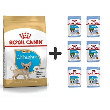 Royal Canin Chihuahua Junior Yavru Köpek Maması 1,5 kg + 6 Adet Yaş Mama