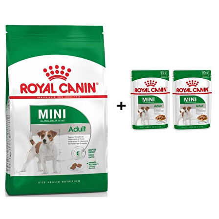 Royal Canin Mini Adult Köpek Maması 4 kg + 2 Adet Yaş Mama Hediye
