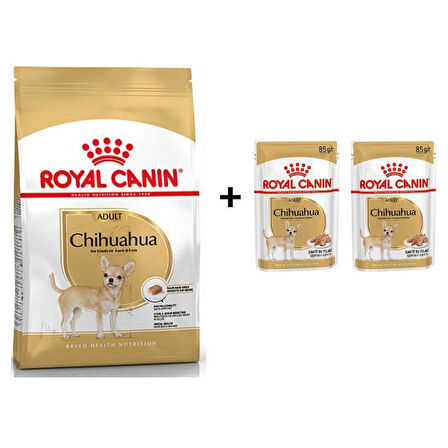 Royal Canin Chihuahua Yetişkin Köpek Maması 1,5 kg + 2 Adet Yaş Mama Hediye