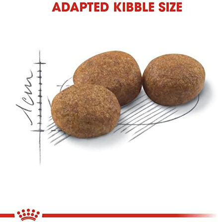 Royal Canin Kısırlaştırılmış Kediler İçin, 37 Kuru Kedi Maması, 2 Kg