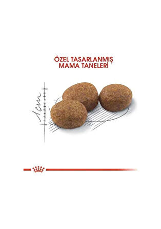 Royal Canin Sterilised 37 Kısırlaştırılmış Yetişkin Kedi Maması 2 KG