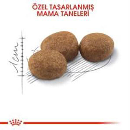 Royal Canin Sterilised Kısırlaştırılmış Kedi Maması 4 Kg + 2 Adet Yaş Mama Hediye