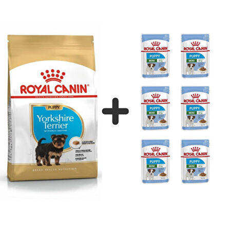 Royal Canin Yorkshire Terrier Yavru köpek Maması 1,5 kg + 6 Adet Yaş Mama