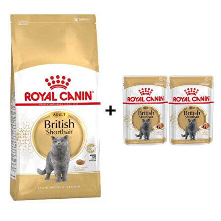 Royal Canin British Shorthair Yetişkin Kedi Maması 4 kg + 2 Adet Yaş Mama Hediye
