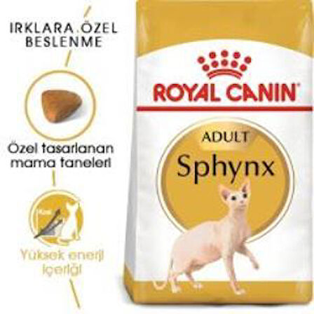 Royal Canin Sphynx Yetişkin Kedi Maması 2 kg + 2 Adet Yaş Mama Hediye