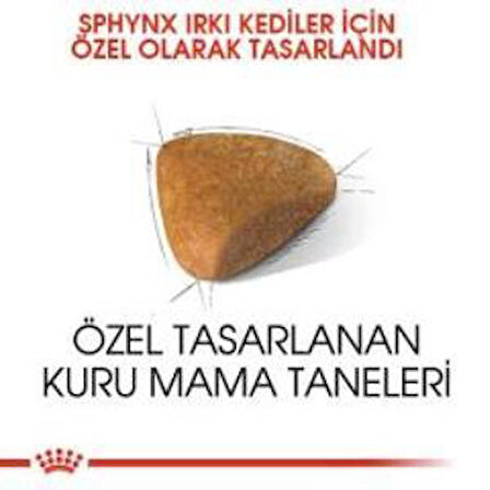 Royal Canin Sphynx Yetişkin Kedi Maması 2 kg + 2 Adet Yaş Mama Hediye