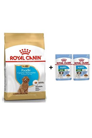 Poodle Puppy Köpek Maması 3 Kg + 2 Adet Yaş Mama