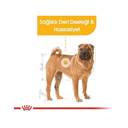 Royal Canin Tavuklu Orta Irk Yetişkin Kuru Köpek Maması 10 kg