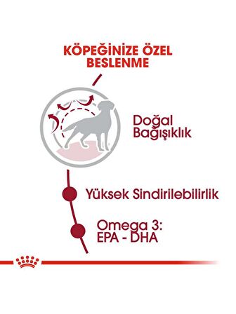 Royal Canin 15Kg Medium Adult Yetişkin Köpek Maması