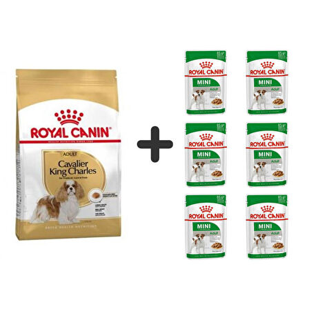 Royal Canin Cavalier King Charles  Yetişkin Köpek Maması 3 kg + 6 Adet Yaş Mama