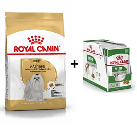 Royal Canin Maltese Bichon Yetişkin Köpek Maması 1,5 kg + 12 Adet Yaş Mama