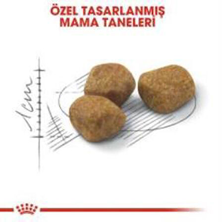 Royal Canin İndoor 7+ Yaşlı Kuru Kedi Maması 1,5 Kg + 2 Adet Yaş Mama Hediye