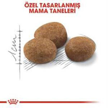 Royal Canin +7 Yaş Üzeri Kısırlaştırılmış Kedi Maması 3,5 Kg + 2 Adet Yaş Mama Hediye