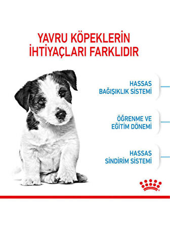 Royal Canin 2Kg Mini Puppy Yavru Köpek Maması