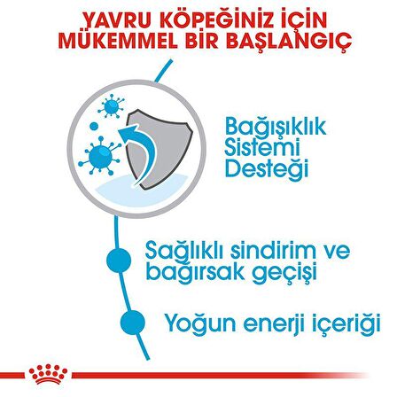 Royal Canin Tavuklu Küçük Irk Yavru Yaş Köpek Maması 500 gr