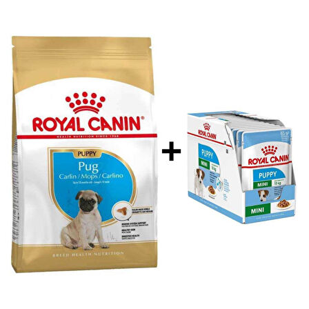 Royal Canin Pug Junior Yavru Köpek Maması 1,5 kg + 12 Adet Yaş Mama