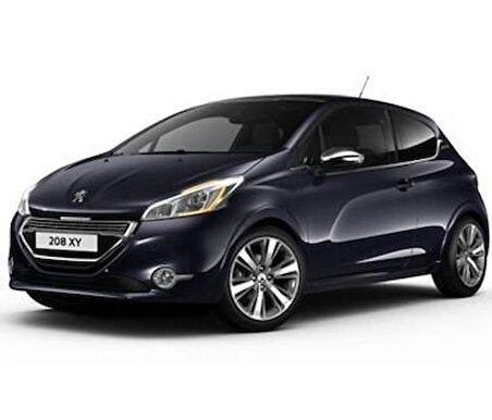 Coil-Ex Peugeot 208 2011 Sonrası Spor Yay 45 / 45 Mm