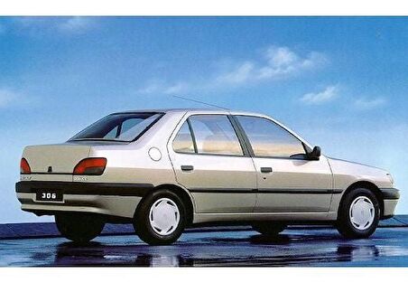 Coil-Ex Peugeot 306 1993 / 2003 Arası Spor Yay 35 Mm