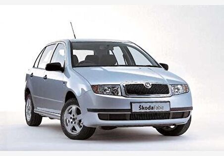 Coil-Ex Skoda Fabia 6Y 2000-2008 Arası Spor Yay 45 / 45 Mm