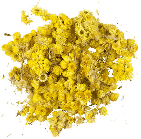 DG PLUS Yeni Mahsul Organik Altın Otu (Altın Çİçek) – 30 gr