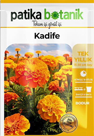 50 Adet Bodur Kadife Çiçek Tohumu (Tagetes L.)